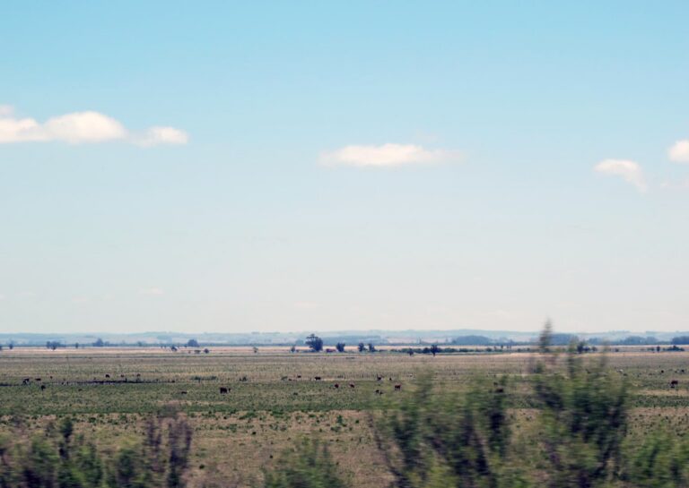 Territorios (in)definidos